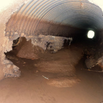 Foto: Tamara Finardi/ WH Comunicações/ Líder