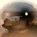 Foto: Tamara Finardi/ WH Comunicações/ Líder