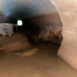 Foto: Tamara Finardi/ WH Comunicações/ Líder