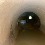 Foto: Tamara Finardi/ WH Comunicações/ Líder