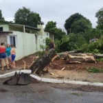 Imóveis foram atingidos por quedas de árvores em Itá (Foto: Defesa Civil)
