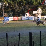 Foto: Tamara Finardi/ WH Comunicações/ Líder
