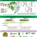 Semana 11 do programa Monitora Milho em SC. Fonte: Epagri
