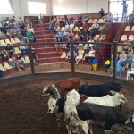 Fotos: Inácio Rohden