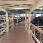 Fotos: Inácio Rohden