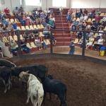 Fotos: Inácio Rohden