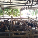 Fotos: Inácio Rohden