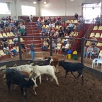 Fotos: Inácio Rohden