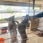 Foto: Tamara Finardi/ WH Comunicações/ Líder