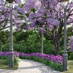 Divulgação do projeto/Município de Maravilha