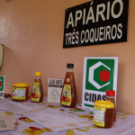 Foto: Divulgação/Município de Maravilha