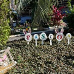 Foto: Ascom/Prefeitura