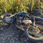 Foto: Tamara Finardi/ WH Comunicações/ Líder