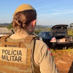 Foto: Marcos de Lima / WH Comunicações