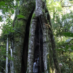 Foto: Tamara Finardi/ WH Comunicações/ Líder
