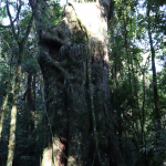 Foto: Tamara Finardi/ WH Comunicações/ Líder