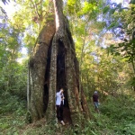 Imagem cedida por Ivanor Jaci Machado