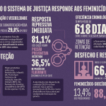 Divulgação/Mapa do Feminicídio/MPSC