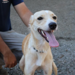 Foto: Divulgação/Município de Maravilha