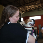 Foto: Divulgação/Município de Maravilha