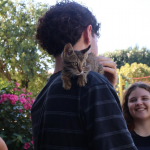 Foto: Divulgação/Município de Maravilha