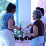 Foto: Divulgação/Município de Maravilha