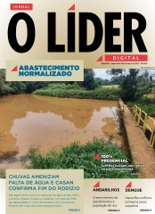 Jornal O Líder Edição 660