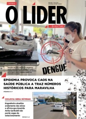 Jornal O Líder Edição 667