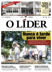 Jornal O Líder Edição 324